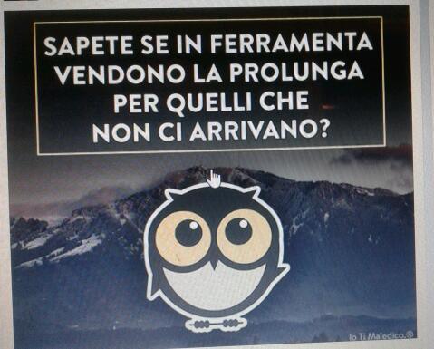 scintillamento's profile picture. 