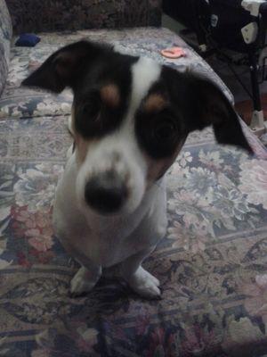 2xdoxiemom's profile picture. Advocate for barrier free access. Chronic illness warrior. Amateur cake decorator. Proofreader. Exhausted.