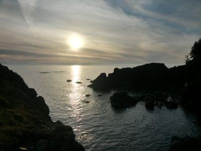 cherylpatrizio's profile picture. 