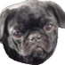 Barry (@barry_74) Twitter profile photo Barry (@barry_74) Twitter profile photo