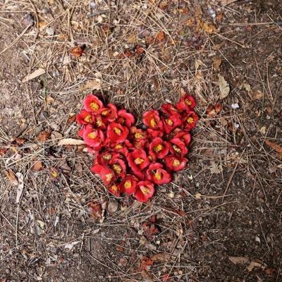 LaRoseBlancSJ's profile picture. 