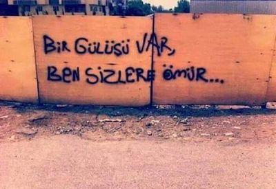 d4fe5e7691464f9's profile picture. 