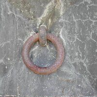 Greyparrot (@greyparrot) 's Twitter Profile