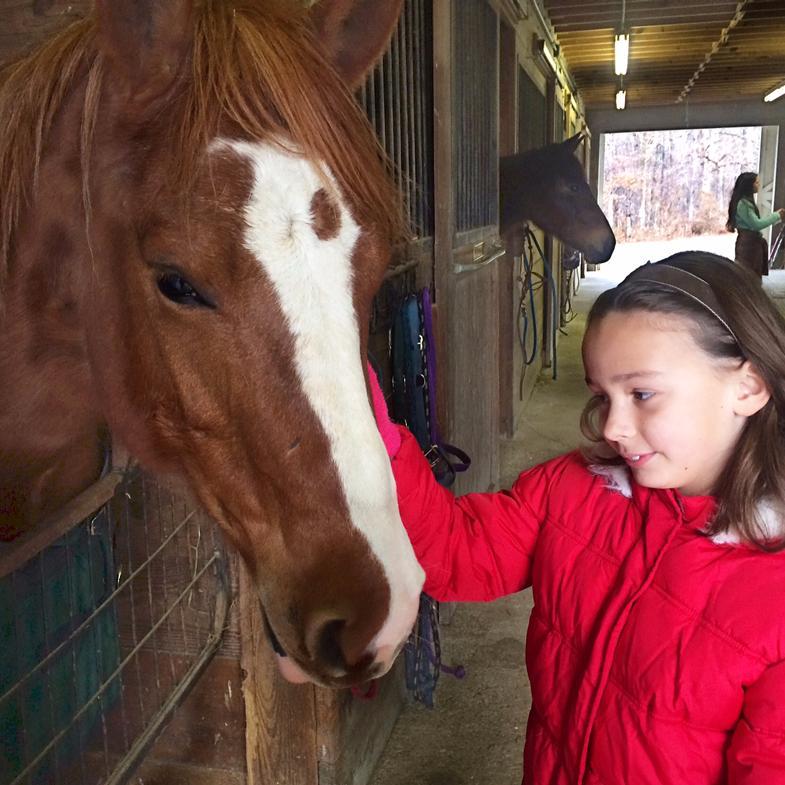 Richmond, VA area nonprofit focused on providing equine rescue & therapy in a caring, safe, healing environment for those facing conflicts & challenges. 501(c)3