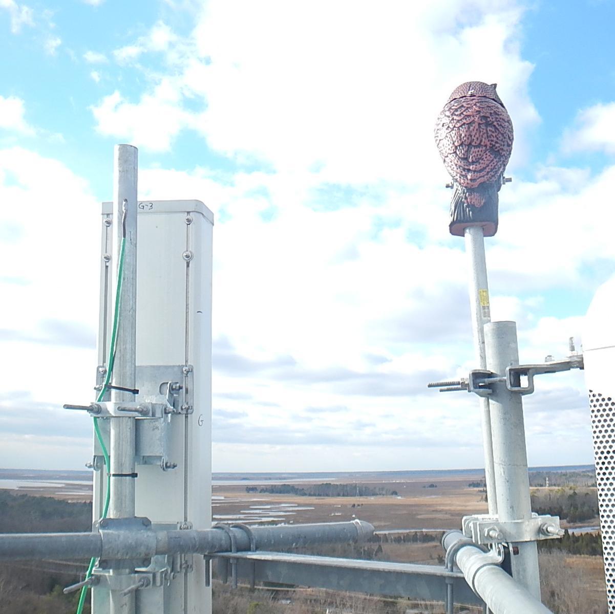 Wireless Construction Service