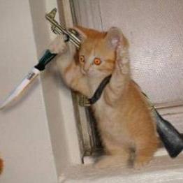 vindicator07's profile picture. 