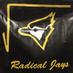 The Radical Jays - FRC Team #5231 (@radicaljays) Twitter profile photo
