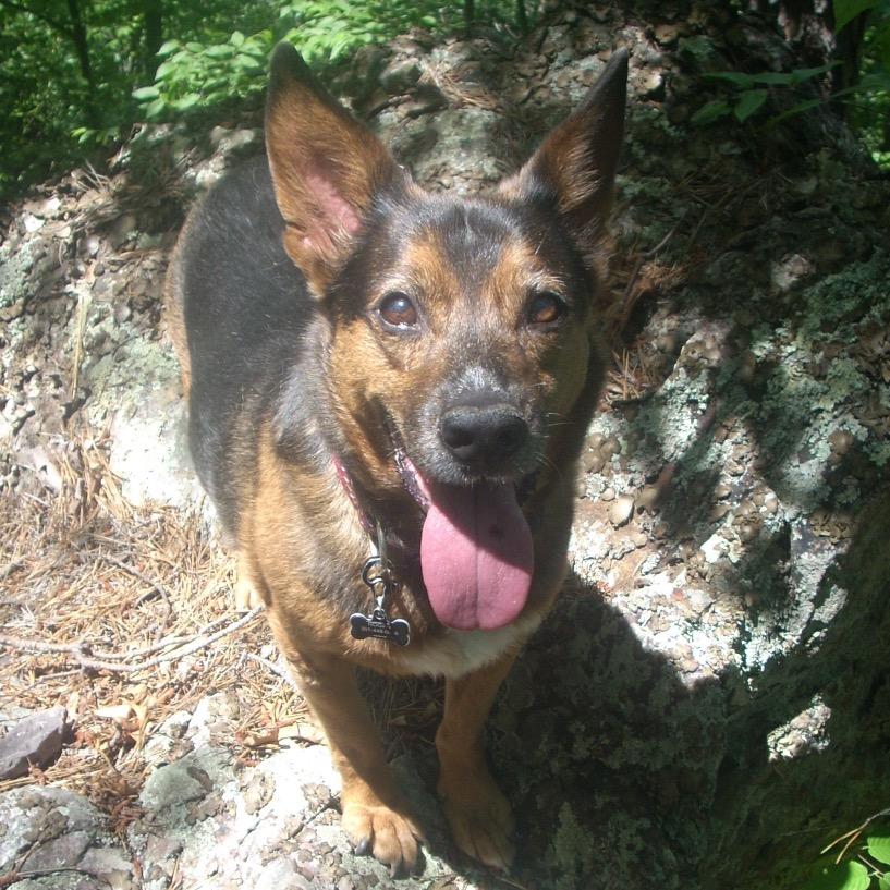 sweetbirch7's profile picture. NCAC Field Director for Virginia Central Service Area