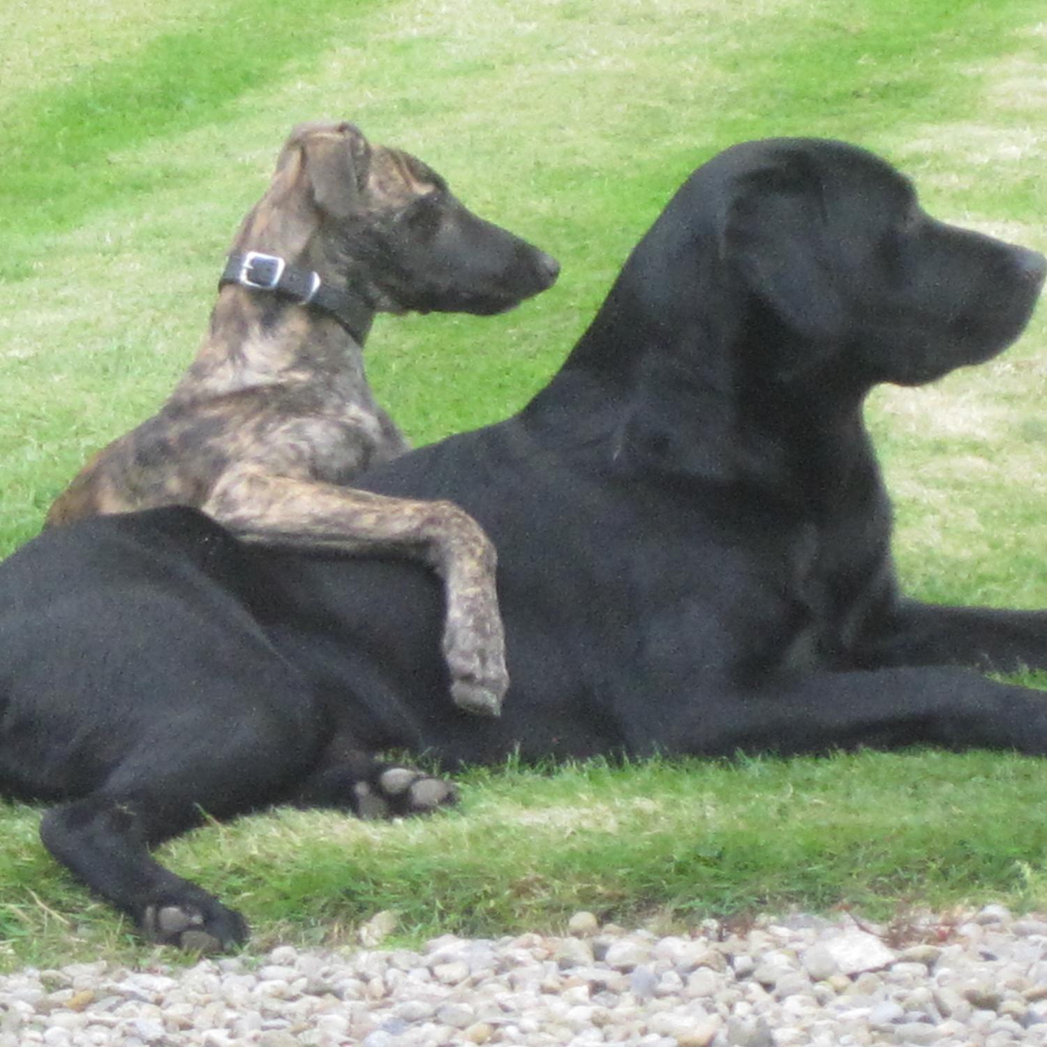 grahah's profile picture. 