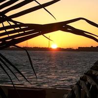 أبو أحمد (@sss61411) 's Twitter Profile Photo