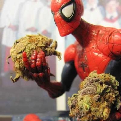 Deeply dedicated to my true love, Mary Jane - Just your friendly neighborhood Stoner-Man - DM stories or pictures to be posted