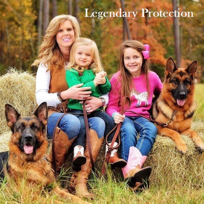 Harrison K-9* provides the finest European German Shepherd K-9s.
*Harrison K-9 is a registered trademark of Adventure Elite, LLC