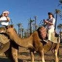 Nelson Abraham Caruc - @NCaruc - Twitter