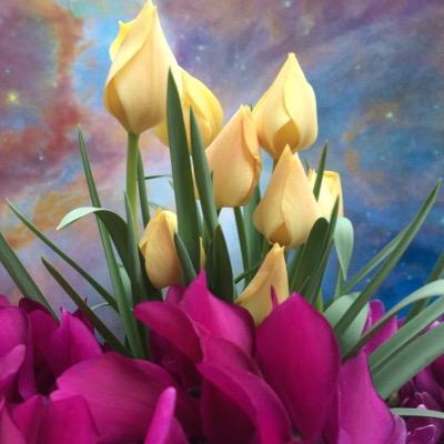 KrisInKitchen's profile picture. lifelong student of art & history; photography addict; endurance swimmer; proud La Salle & Notre Dame alum; PA & NJ attorney; & local art scene aficionado