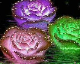 ‏ ابحث عن اصدقاء
