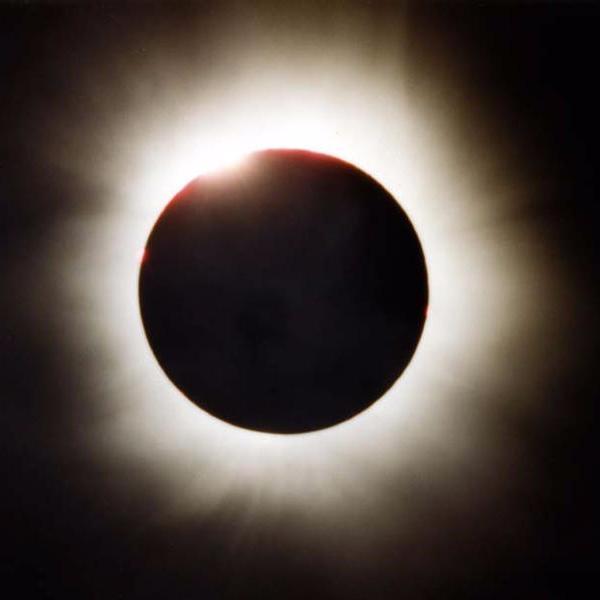 witchblood66's profile picture. 