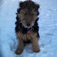 lewis digby (@lewisdigby) 's Twitter Profile