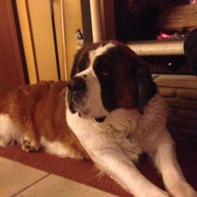 ECaucci's profile picture. 