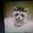 Cainlovesabel's profile image