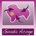 Guada Acoge (@guadaacoge) Twitter profile photo Guada Acoge (@guadaacoge) Twitter profile photo