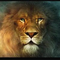 اسمر (@zepaswd) Twitter profile photo