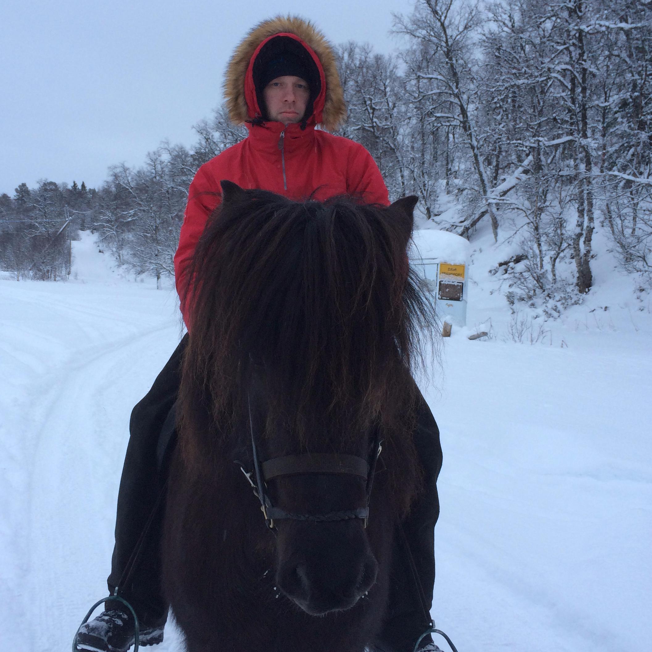 AlmarAlbertsson's profile picture. 