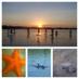 South Florida Paddle (@southflpaddle) Twitter profile photo South Florida Paddle (@southflpaddle) Twitter profile photo