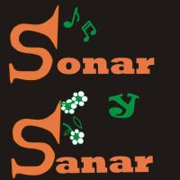 sonar y sanar (@sonarysanar) 's Twitter Profile