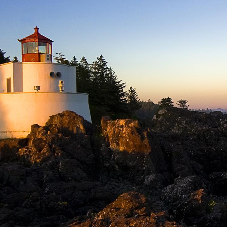 mine_005's profile picture. 