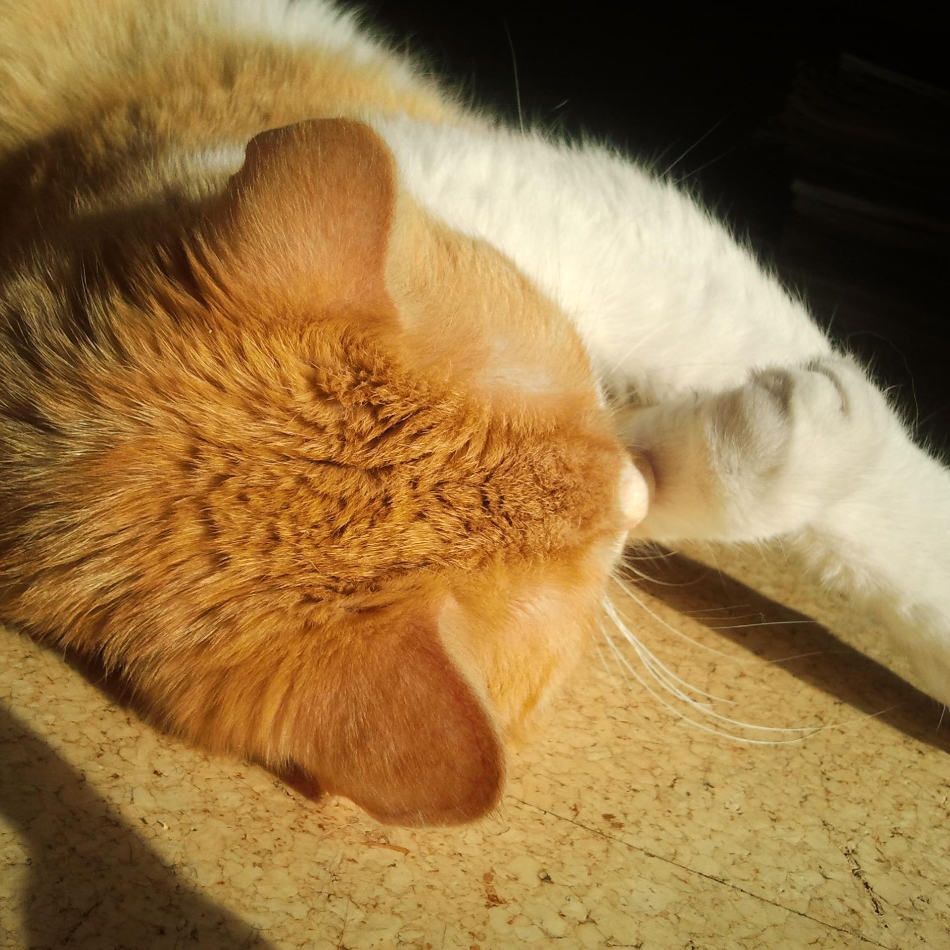 Was, ich?