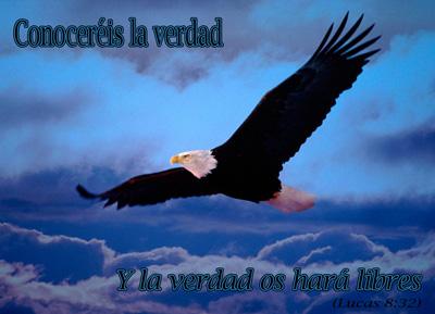 luzmi0605's profile picture. Ingeniero