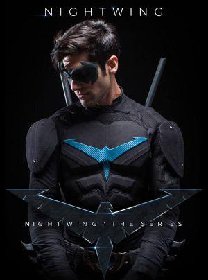 İlk Robin,Nightwing,Akrobat,Flying Grayson /#BatFamily #DCTeamTR