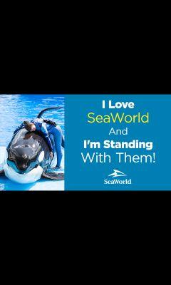 Blackfishlies's profile picture. 