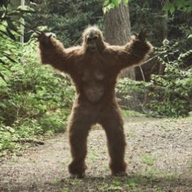 I am Bigfoot. I post funny stuff.