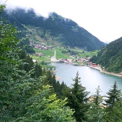 shareefhowaidy's profile picture. 