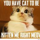 Shaun Carpenter - @djscrewhead713 - Twitter