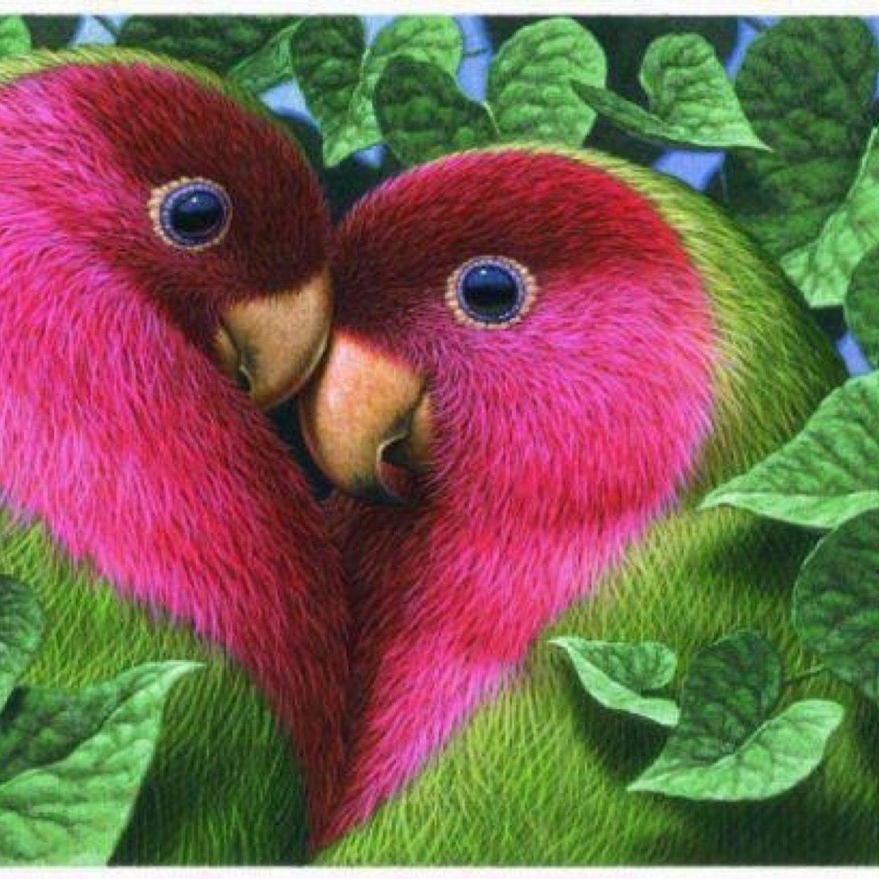 ROBOTINA60's profile picture. 