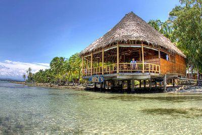 Goku_Saiyajins's profile picture. 