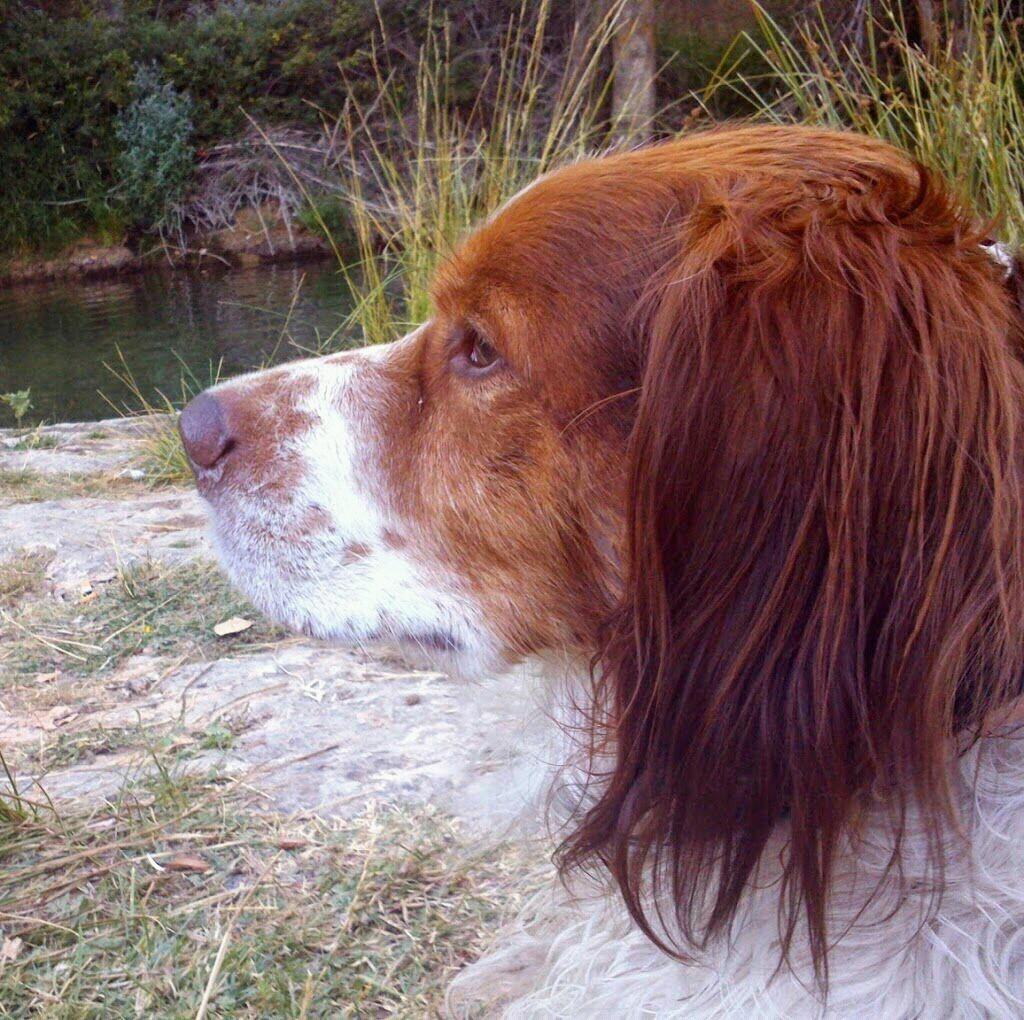 Loca si, pero feliz. 
El qué no cree en la magia nunca la encontrará.😊

No todo lo que es de oro reluce, ni toda la gente errante anda perdida.
