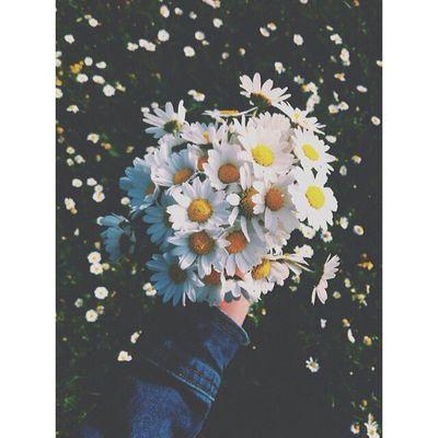 nightterr's profile picture. 