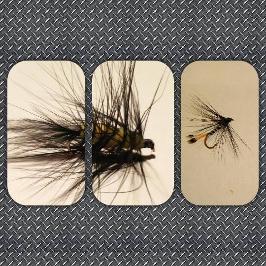 wcoastflytying1's profile picture. 