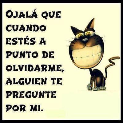 estare encantada contigo