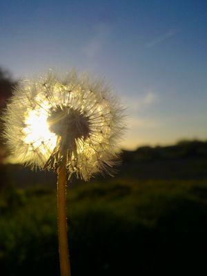 KathrinSulzer's profile picture. 