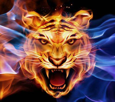 nas65935's profile picture. 