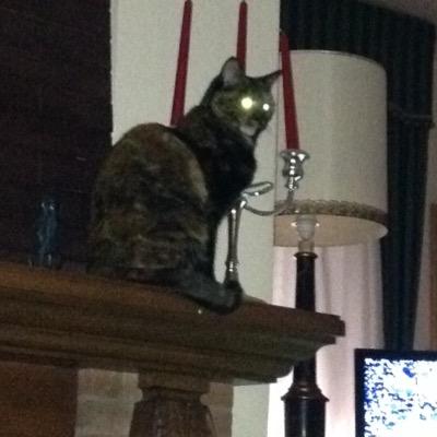 rubiobenassai's profile picture. 