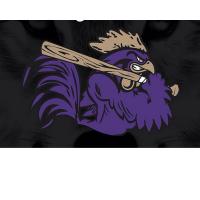 Rooster Baseball (@phillbaseball) 's Twitter Profile