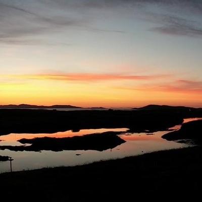 MaggieBarra's profile picture. 