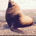Thiagopotamus (@thialogy) Twitter profile photo Thiagopotamus (@thialogy) Twitter profile photo
