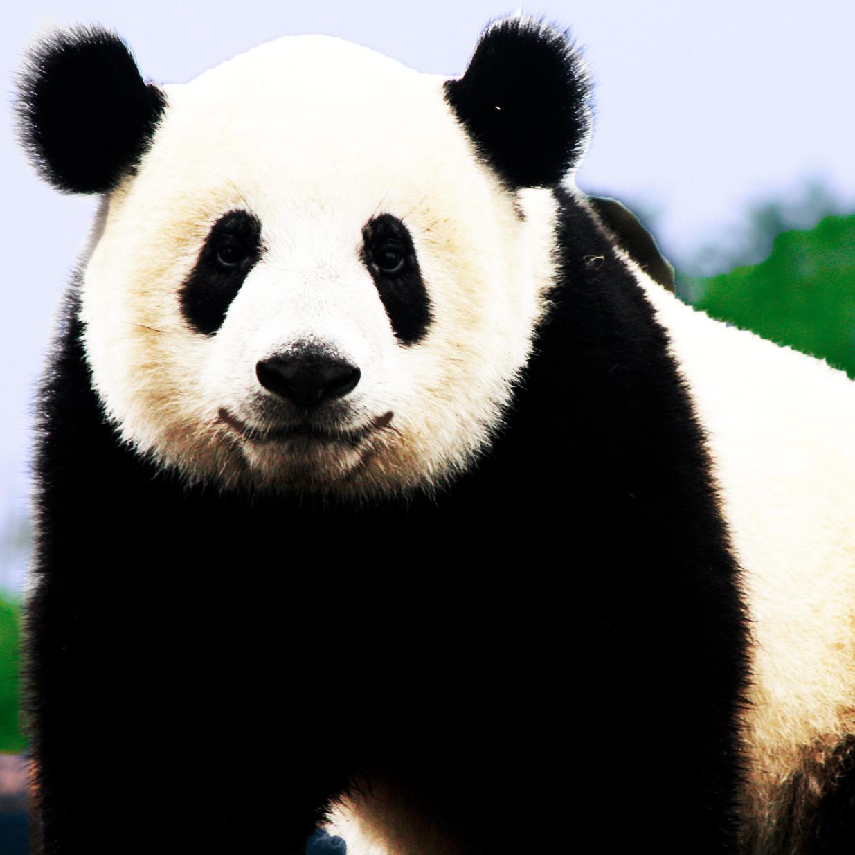 wtfav's profile picture. Things get out of hand.