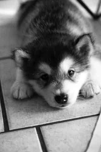 otakninja's profile picture. we ate, and talked, and went to bed, and slept. it was a miracle.